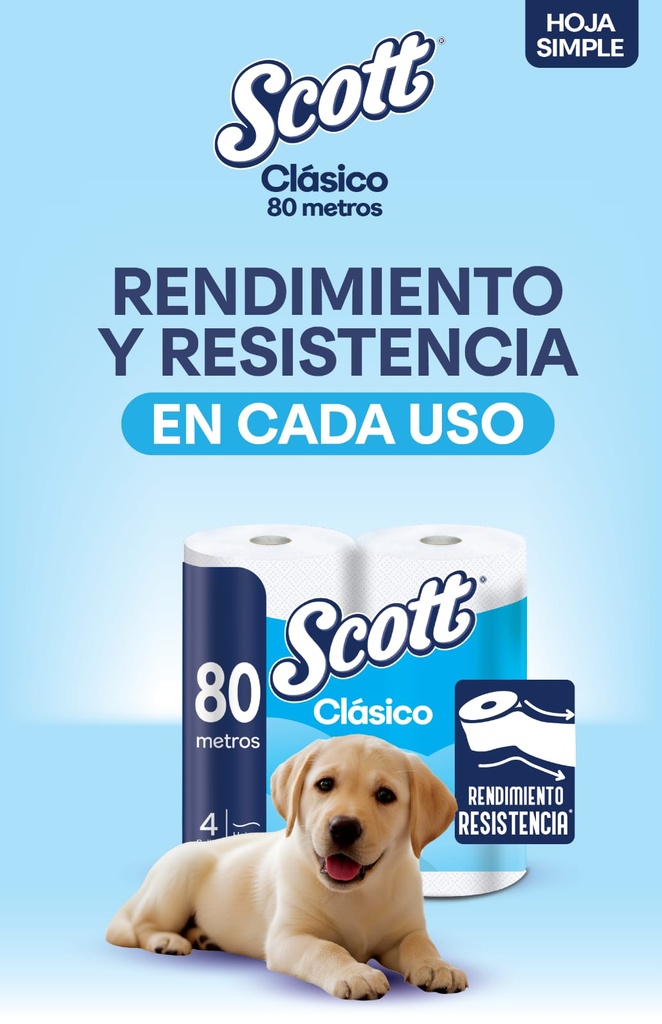 Papel Higienico Bolson 10 pack 4x80m Simple Hoja Scott
